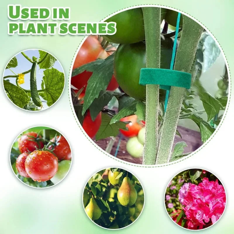 Adjustable Nylon Plant Ties - 2M Reusable Garden Fasteners