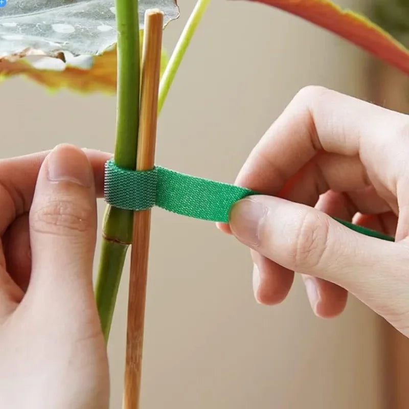 Adjustable Nylon Plant Ties - 2M Reusable Garden Fasteners