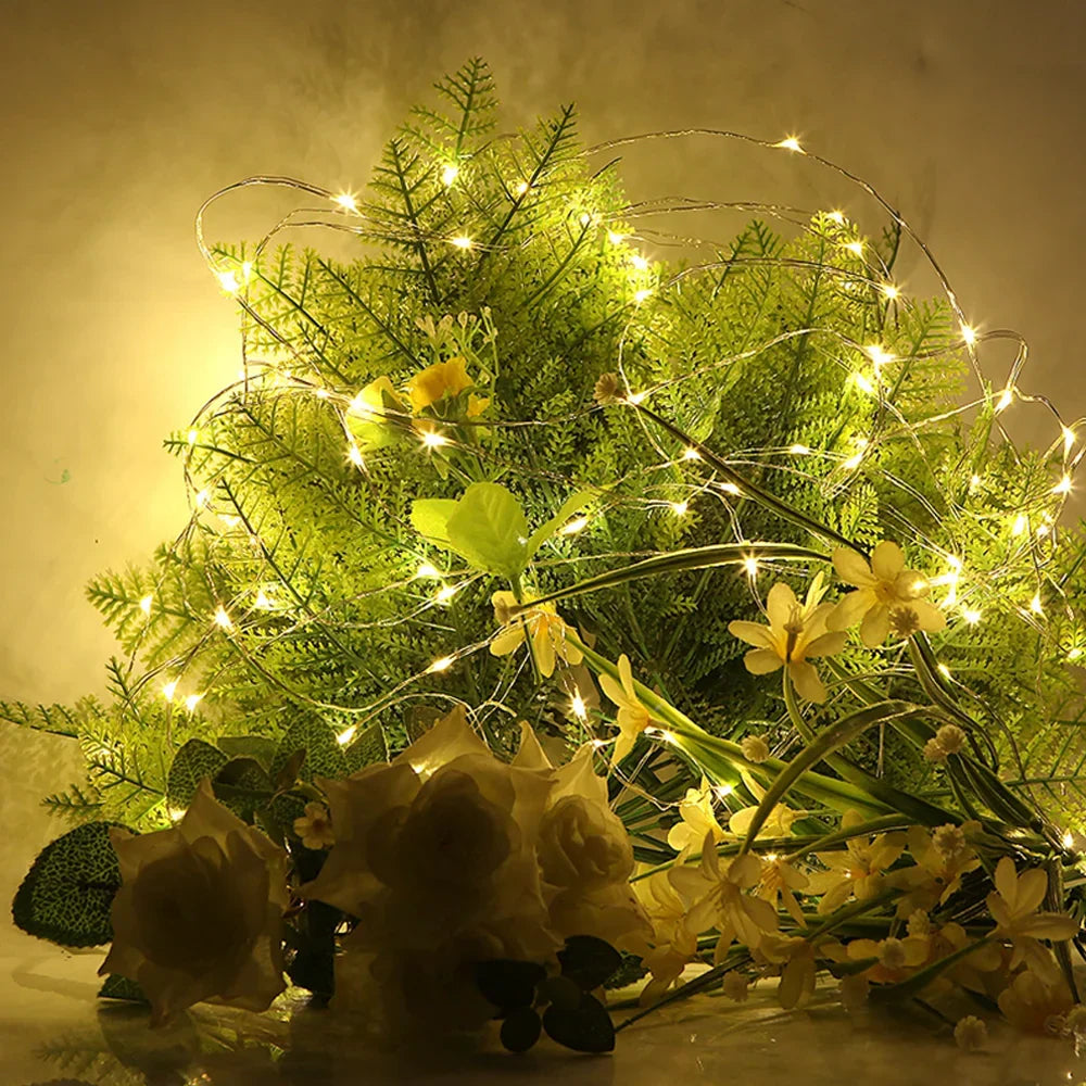 Led Copper Wire Fairy Lights