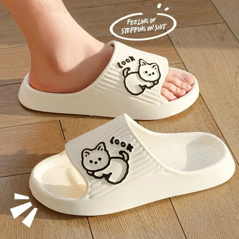 Bathroom slippers applicable place