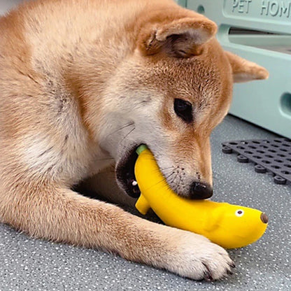 Banana Squeaky Dog Toy: Bite-Resistant & Interactive