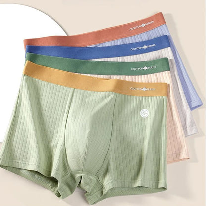 4PCS Antibacterial Underwear for Boys | Breathable & Soft Kids Panties | Solid Briefs for Ages 8+ | tonyfinger store